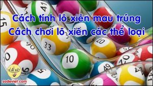 Cách đánh lô xiên các thể loại Thủ thuật tính lô xiên mau trúng nhất