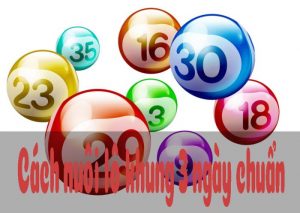 Nuôi khung trong 3 ngày theo cách hiệu 1 cầu đề được nhiều người áp dụng